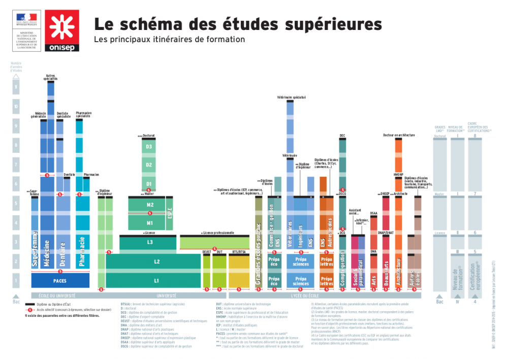 Orientation_Schema