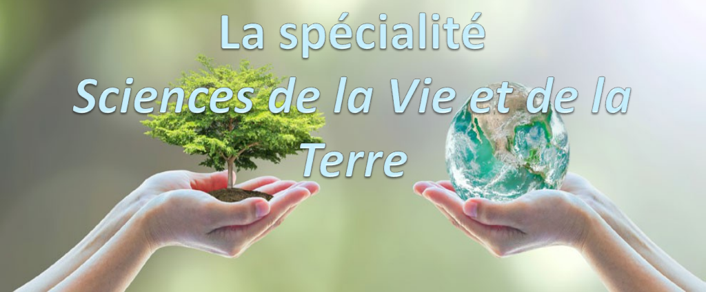 en-tete