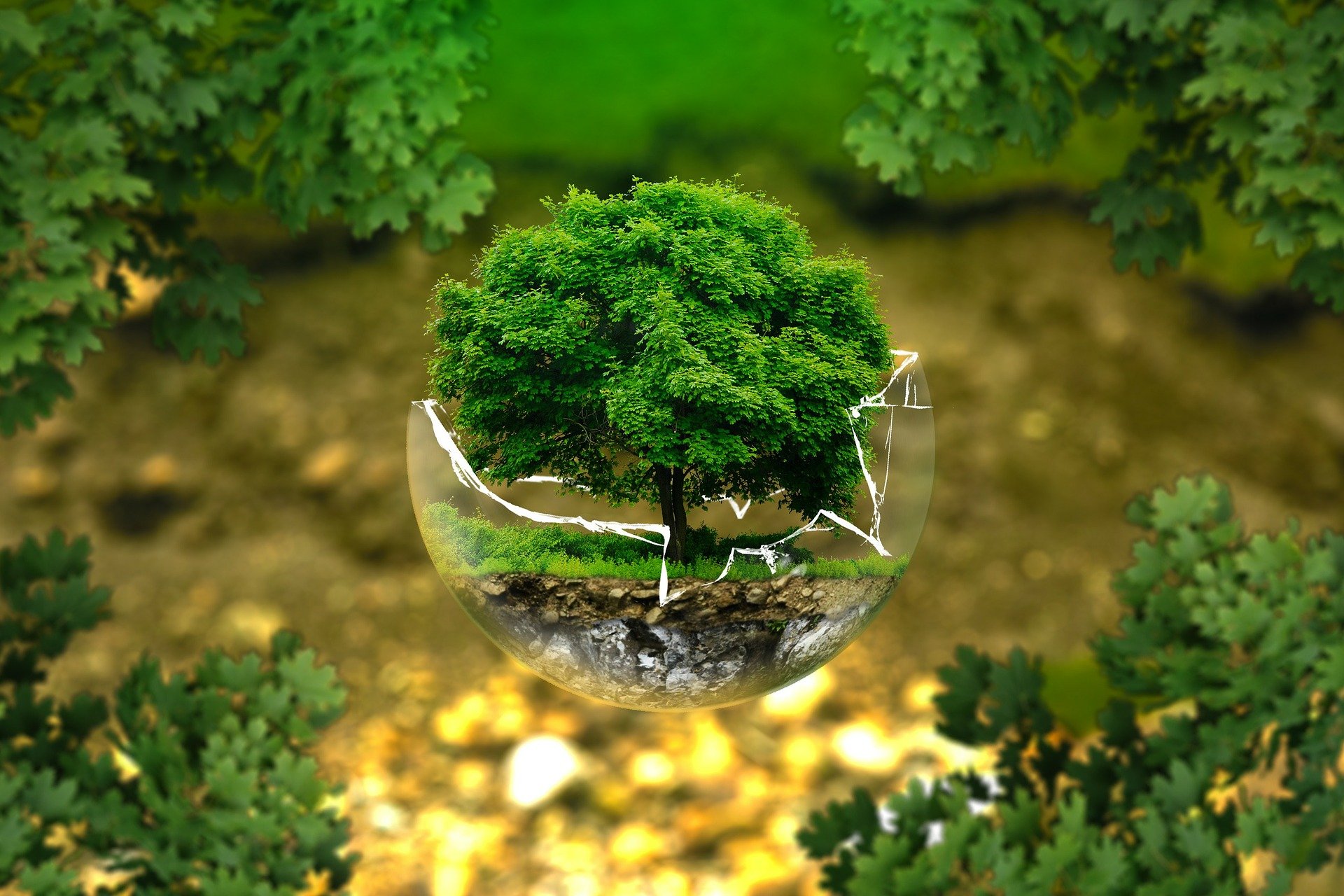environmental-protection-g80c06ff32_1920
