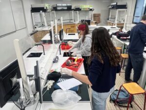 Projet Spécialité SVT : Plastique à la loupe