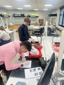 Projet Spécialité SVT : Plastique à la loupe